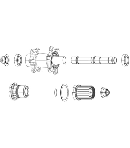 Amazon.com : Zipp Speed Weaponry Freehub Kit - 176/177 Hub, 11